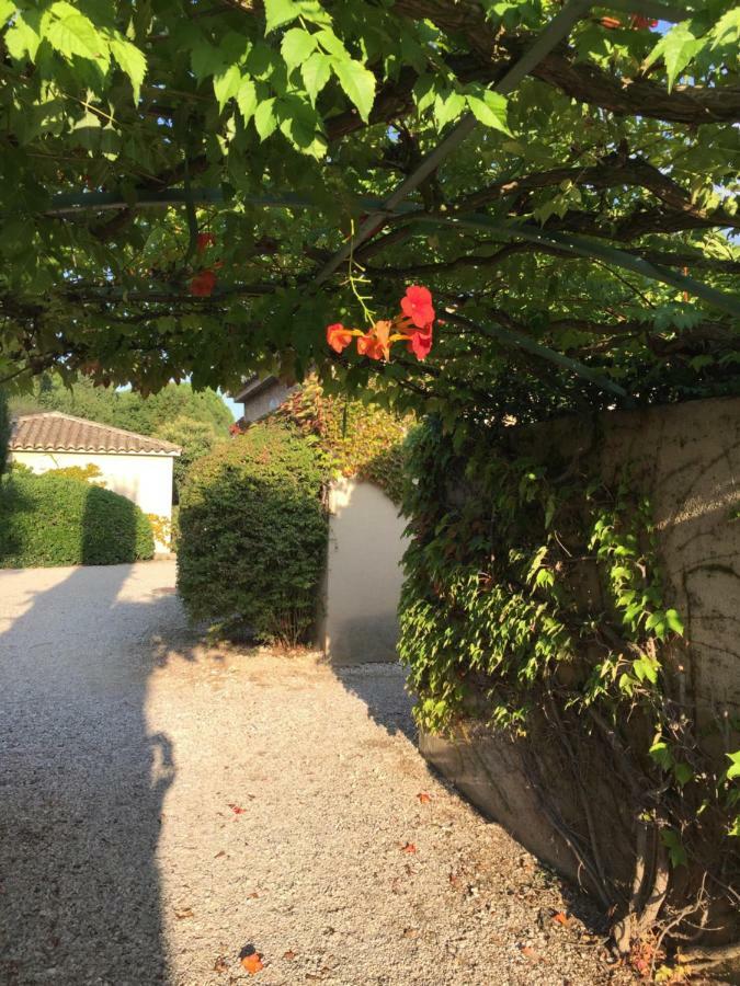 Le Mazet De Lola Villa Saint-Remy-de-Provence Exterior photo
